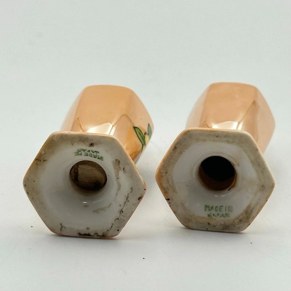 Orange Lusterware Salt Pepper Shakers Painted Flowers‎ Trim Gold made Japan
